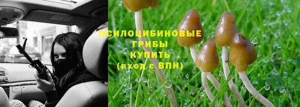 а пвп мука Аркадак